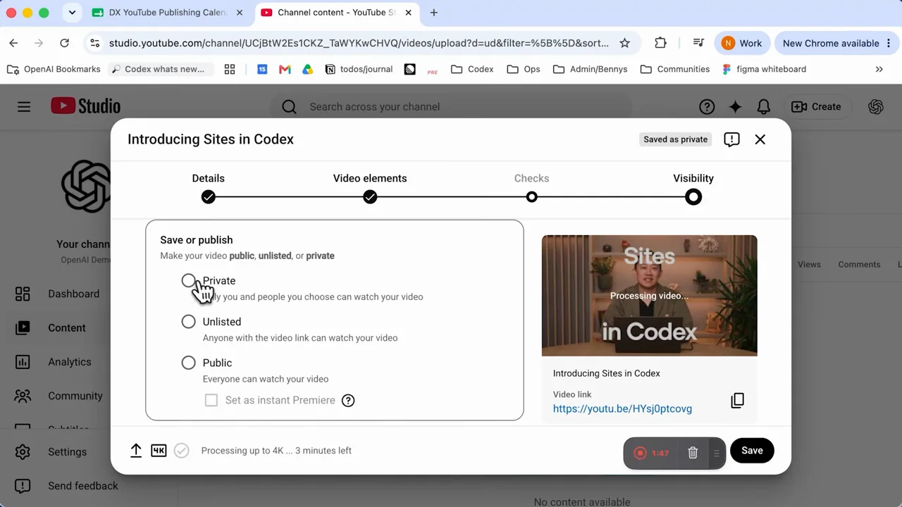 The upload flow reaches its visibility choices.