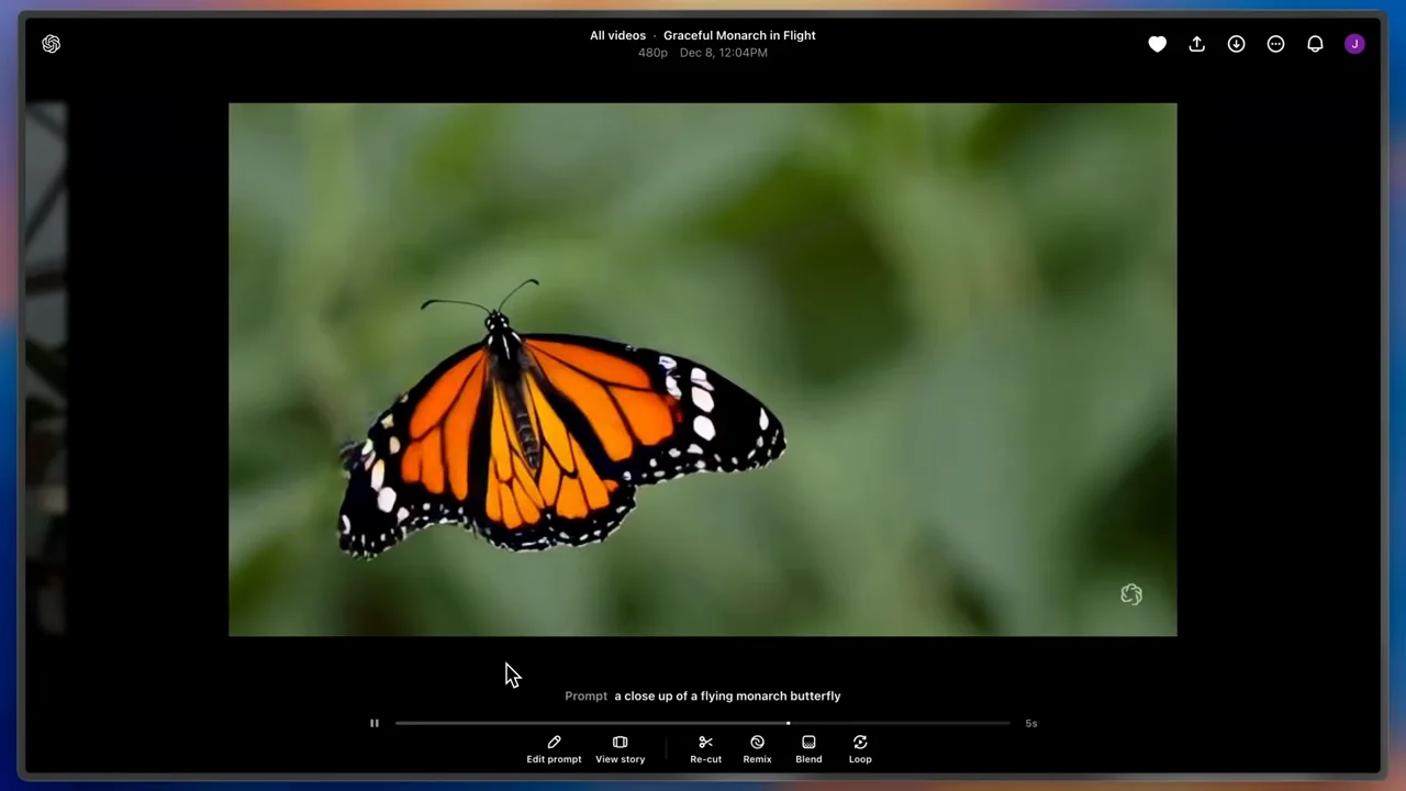 A butterfly clip loops in the dark viewer.