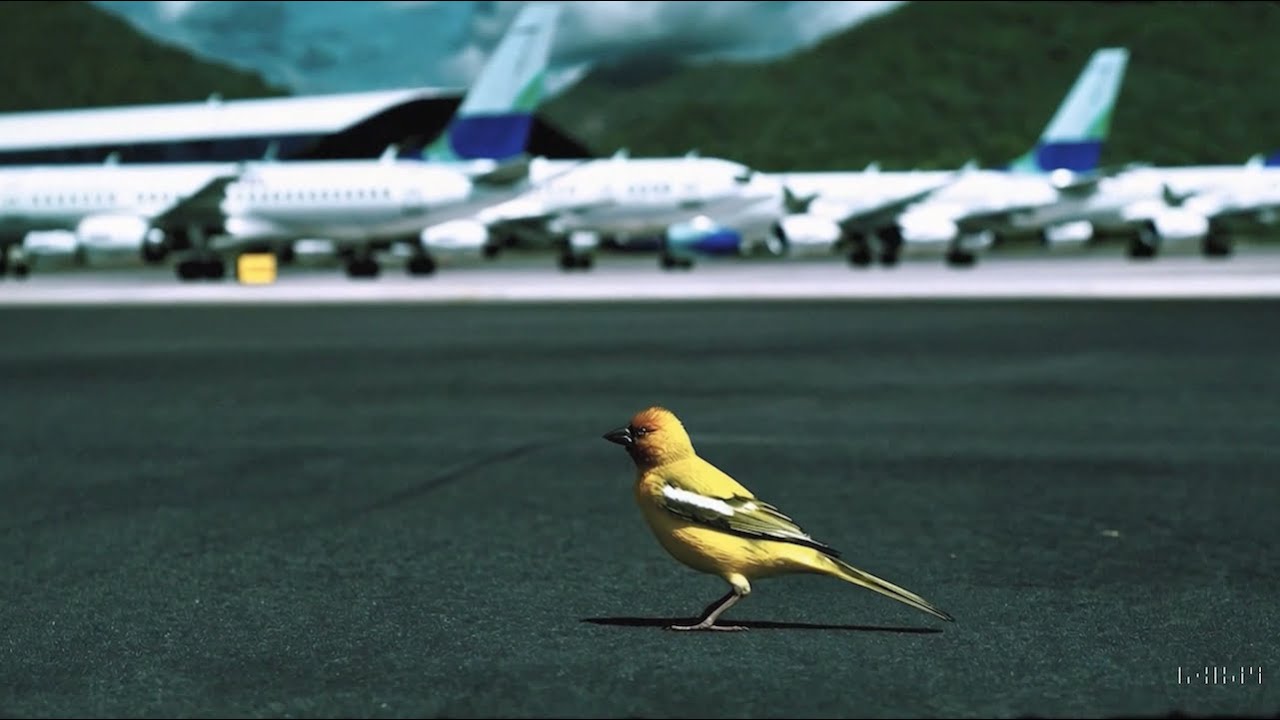Dreams · Made by Wayne Price and IN-Q with Sora — original channel thumbnail